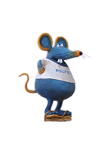 Mr mouse