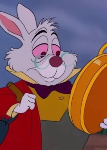 Mr. Rabbit