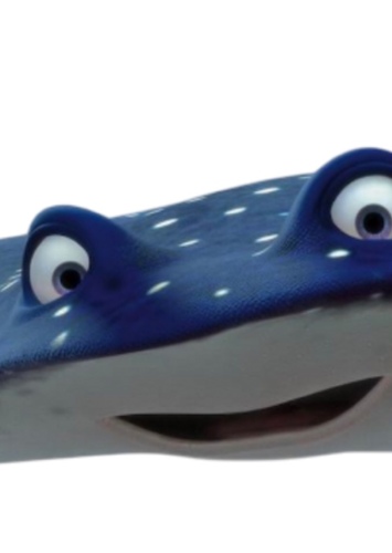 Mr.Ray