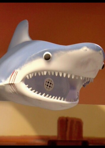 Mr. Shark