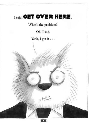 Mr Wolf
