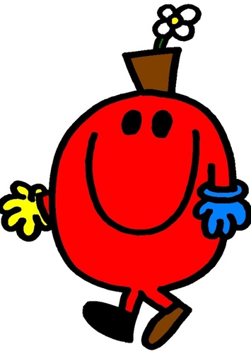 Mr wrong