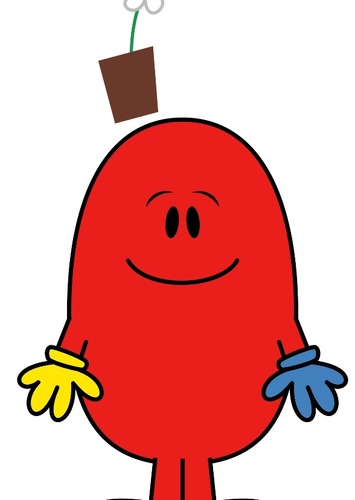 Mr wrong