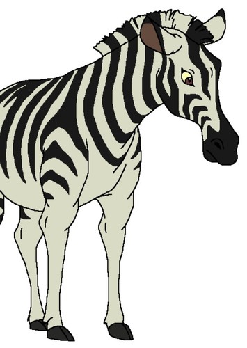 Mr Zebra