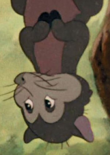 Mrs. Possum