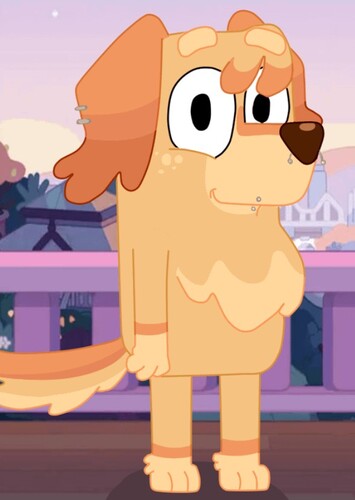 Mrs retriever