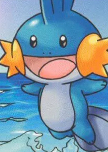 Mudkip / ミズゴロウ