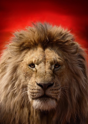 Mufasa
