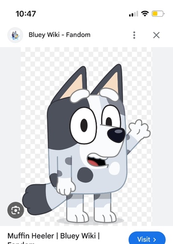 Muffin heeler