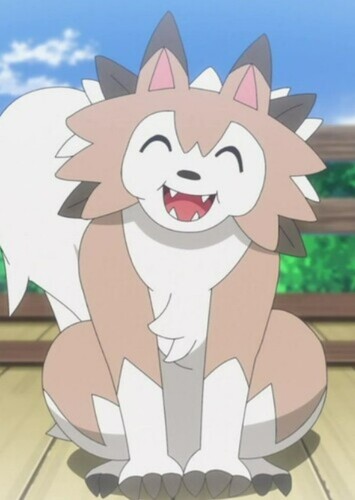 Murdock's Lycanroc (Japanese)