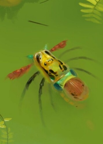 Mycterops