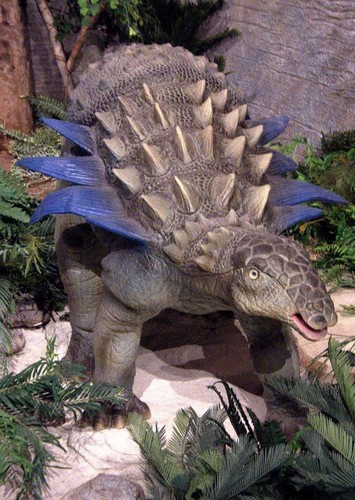 Mymoorapelta
