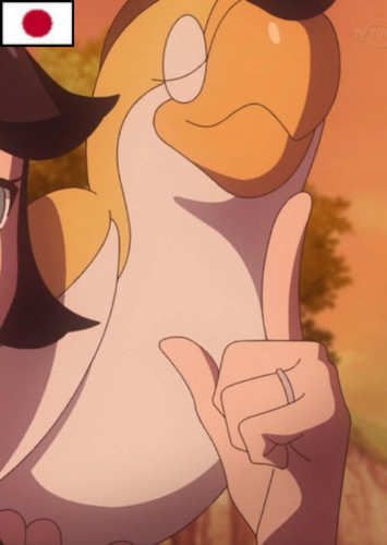 Lucca's Squawkabilly (Japanese)