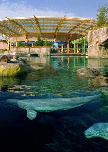 Mystic Aquarium