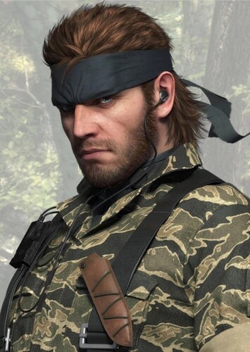 N-d Snake