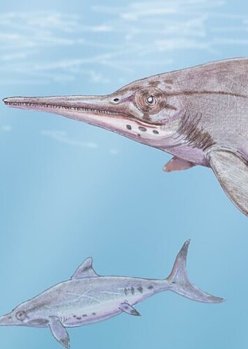 Nannopterygius