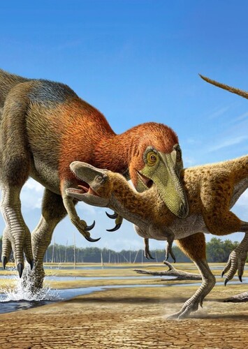 Nanotyrannus