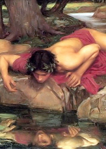 Narcissus