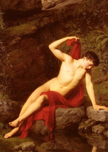 Narcissus