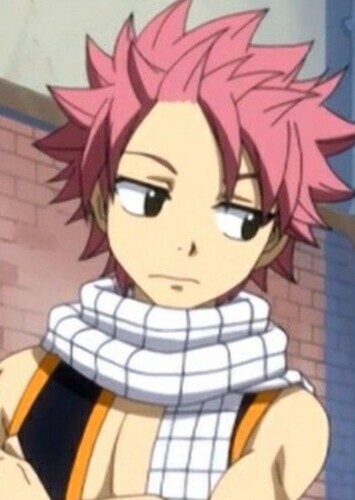 Natsu Dragneel (x781)