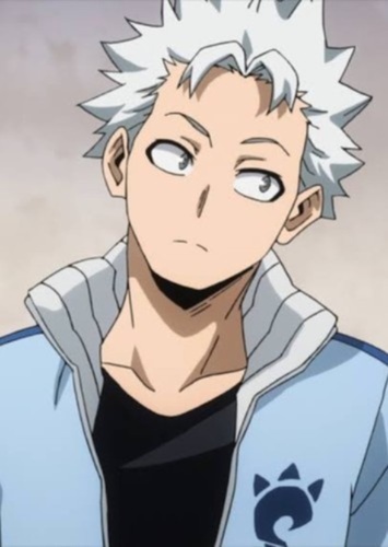 Natsu todoroki