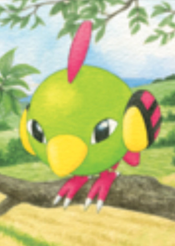 Natu / ネイティ