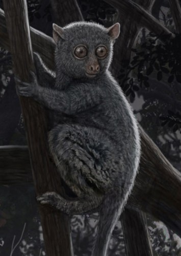 Necrolemur