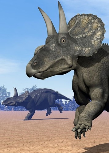 Nedoceratops