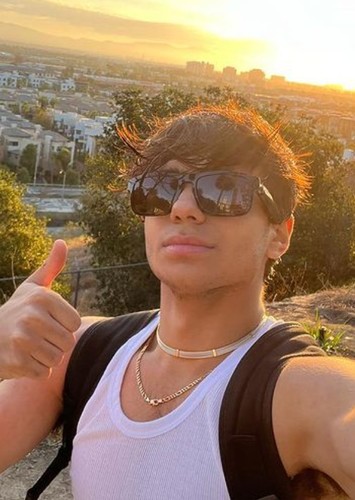 Neel Sethi