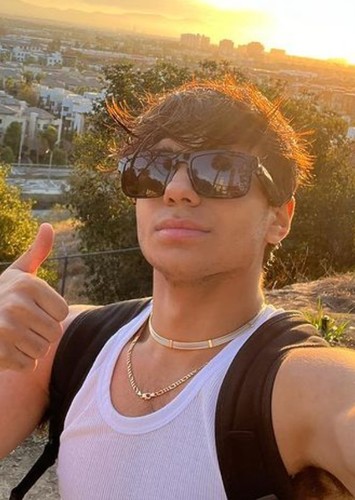Neel Sethi