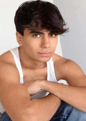 Neel Sethi