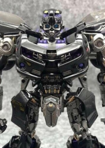 Nemesis Bee