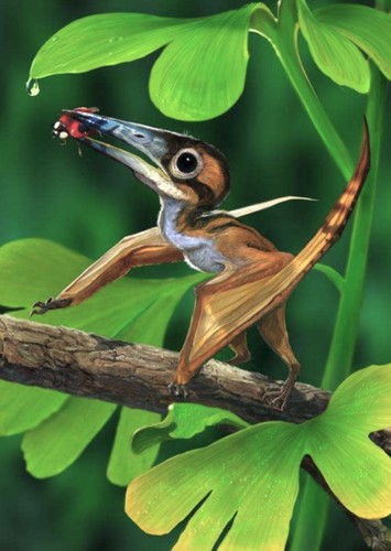 Nemicolopterus
