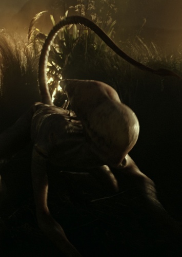 Neomorph