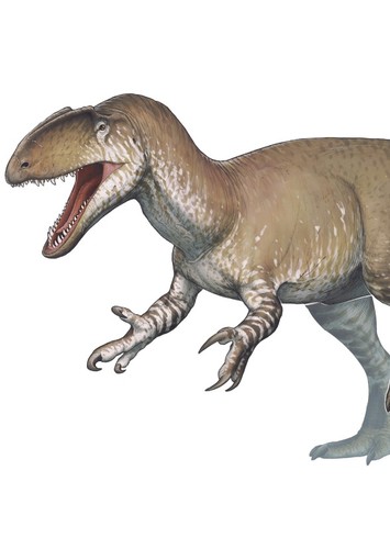 Neovenator