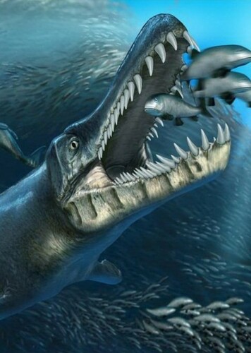 Neptunidraco
