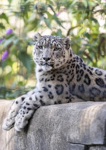 Neunkircher Zoo
