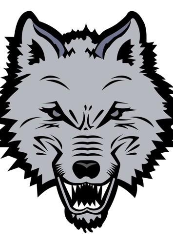 New England Sea Wolves