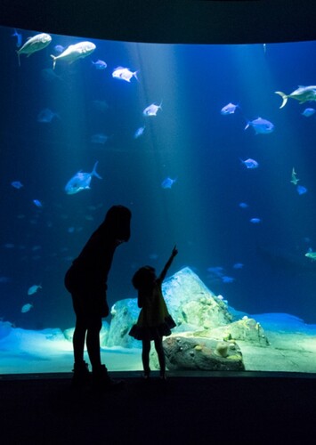 New York Aquarium