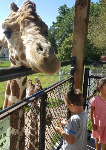 NEW Zoo & Adventure Park