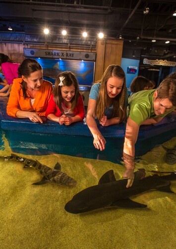 Newport Aquarium