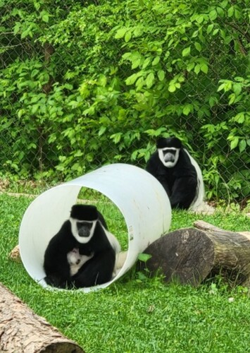 Niabi Zoo