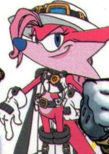 Nic The Weasel