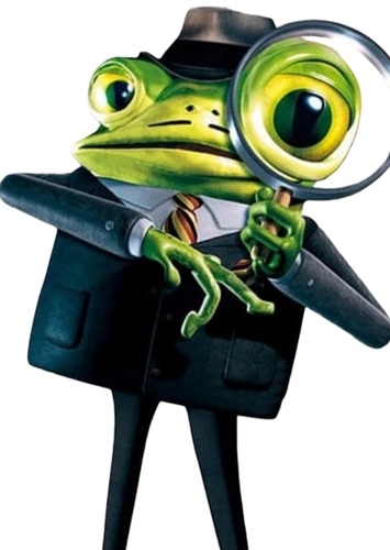 Nicky Flippers