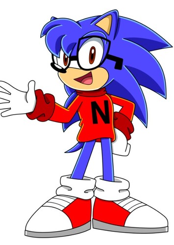 Nicky The Hedgehog