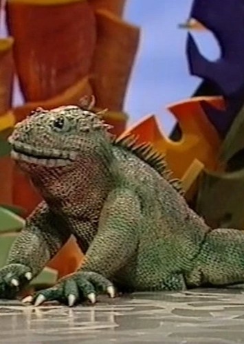 Nico the Marine Iguana