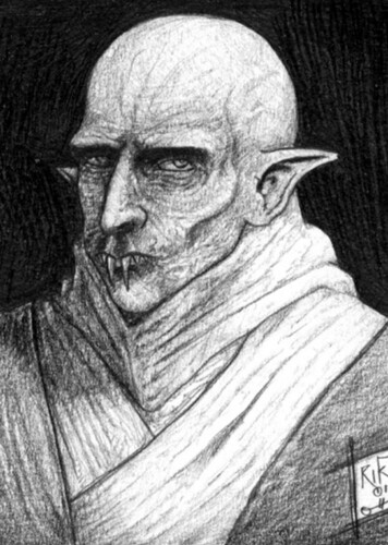 Nicolo