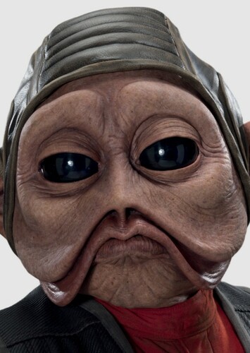 Nien Nunb