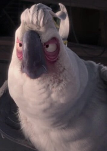 Nigel