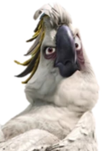 Nigel